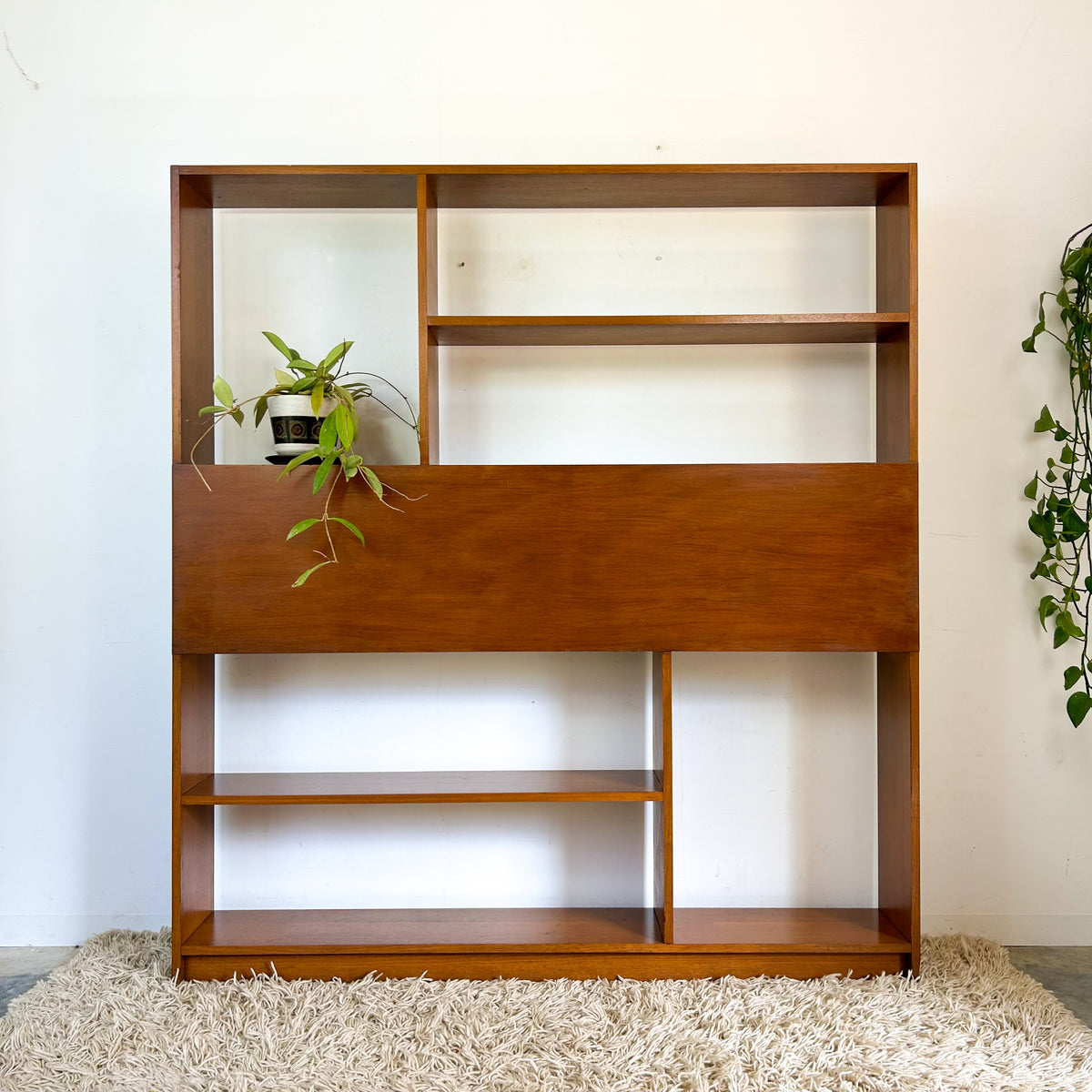 WALL UNIT ROOM DIVIDER