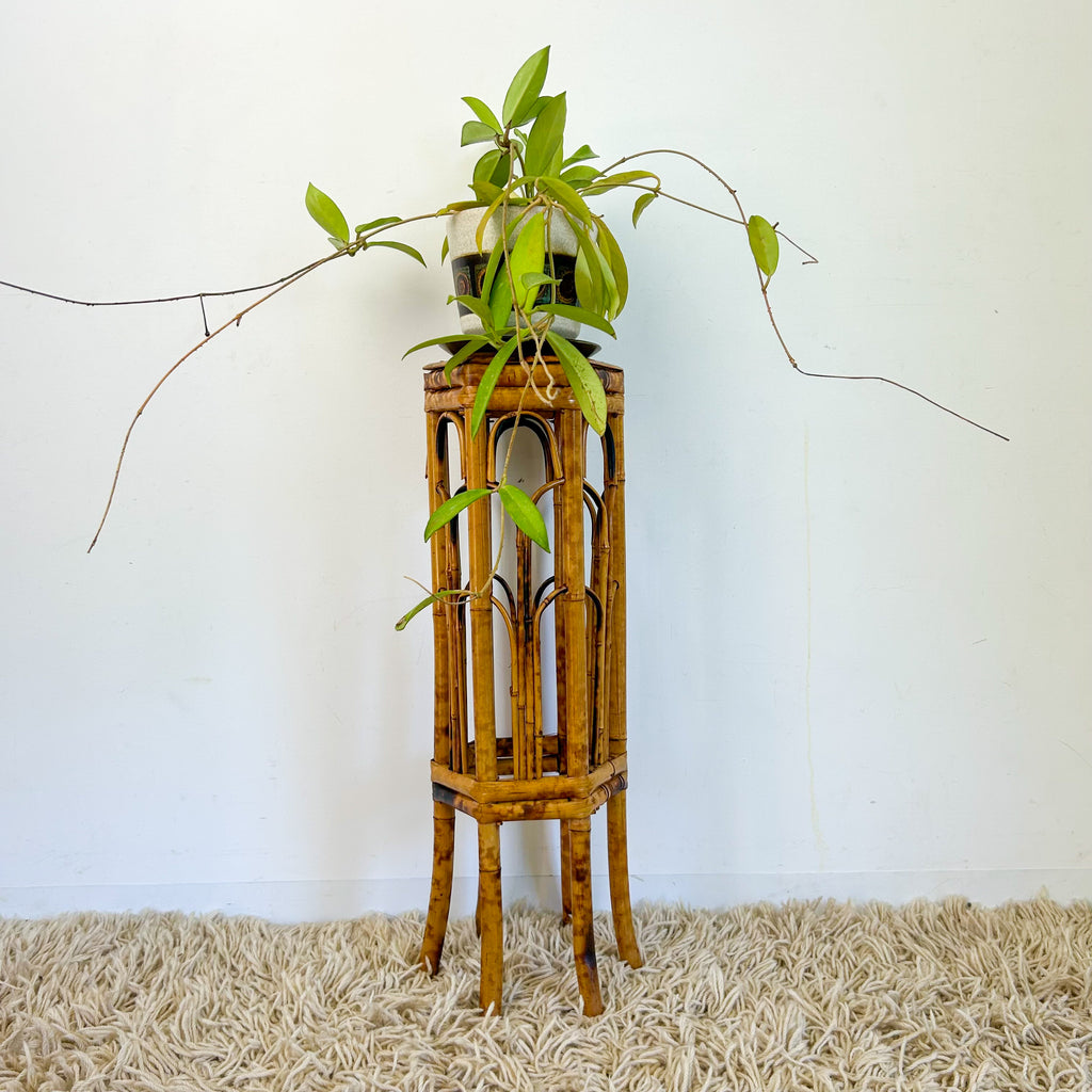 TORTOISESHELL CANE PLANT STAND - HEY JUDE WORKSHOP • Vintage furniture & objects Melbourne