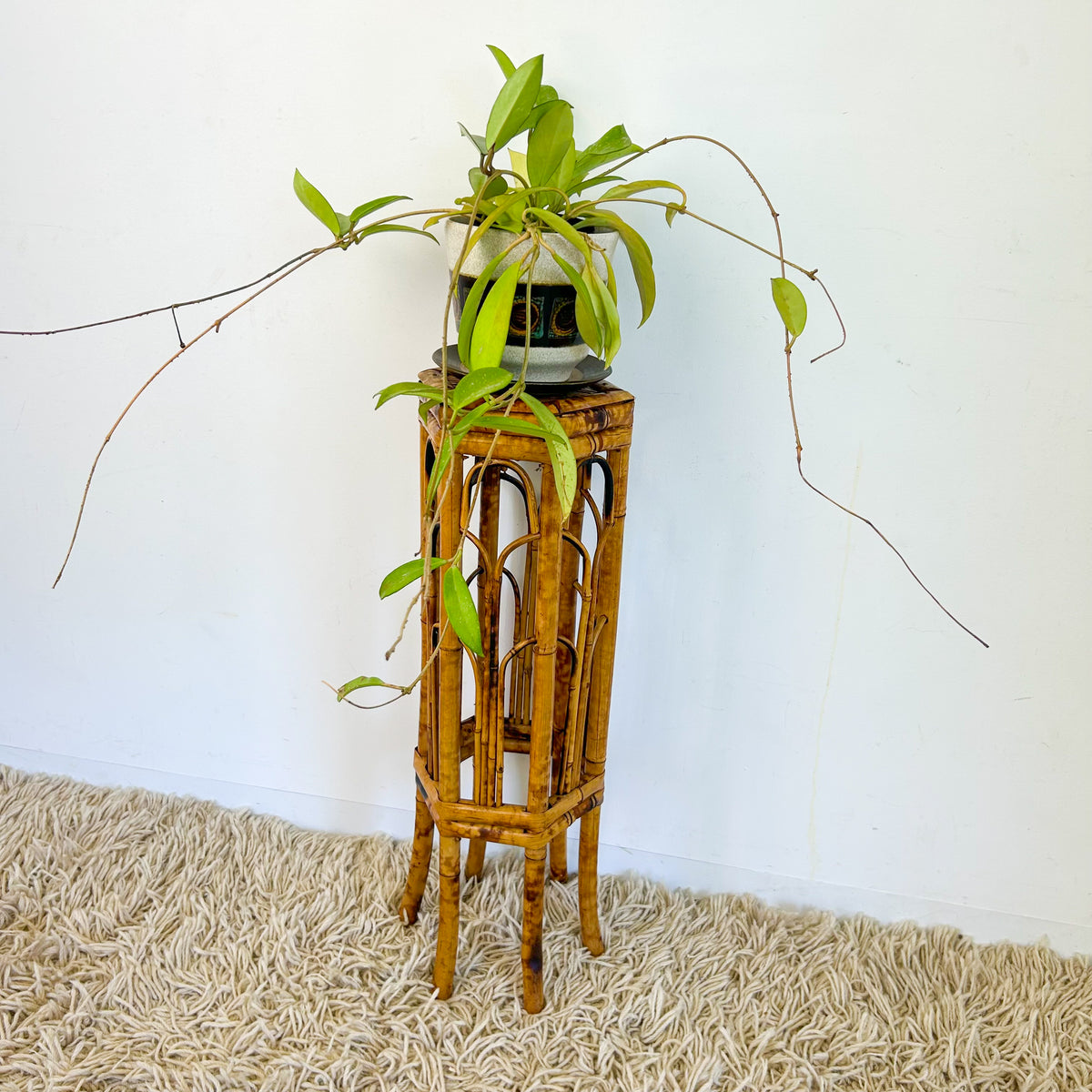 TORTOISESHELL CANE PLANT STAND - HEY JUDE WORKSHOP • Vintage furniture & objects Melbourne