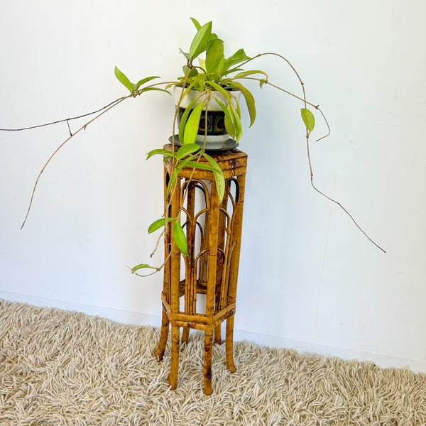 TORTOISESHELL CANE PLANT STAND