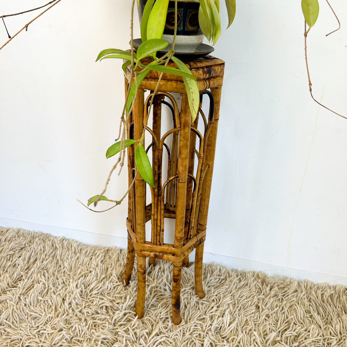 TORTOISESHELL CANE PLANT STAND - HEY JUDE WORKSHOP • Vintage furniture & objects Melbourne