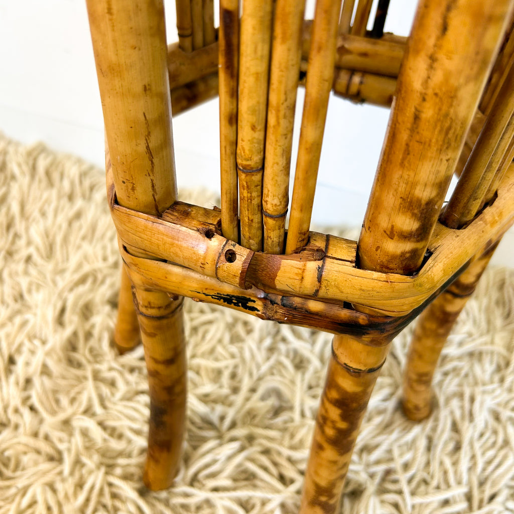 TORTOISESHELL CANE PLANT STAND - HEY JUDE WORKSHOP • Vintage furniture & objects Melbourne