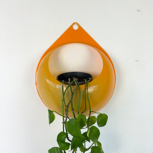 ORANGE PLASTIC WALL PLANTER
