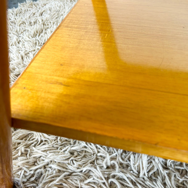 1950s ATOMIC COFFEE TABLE