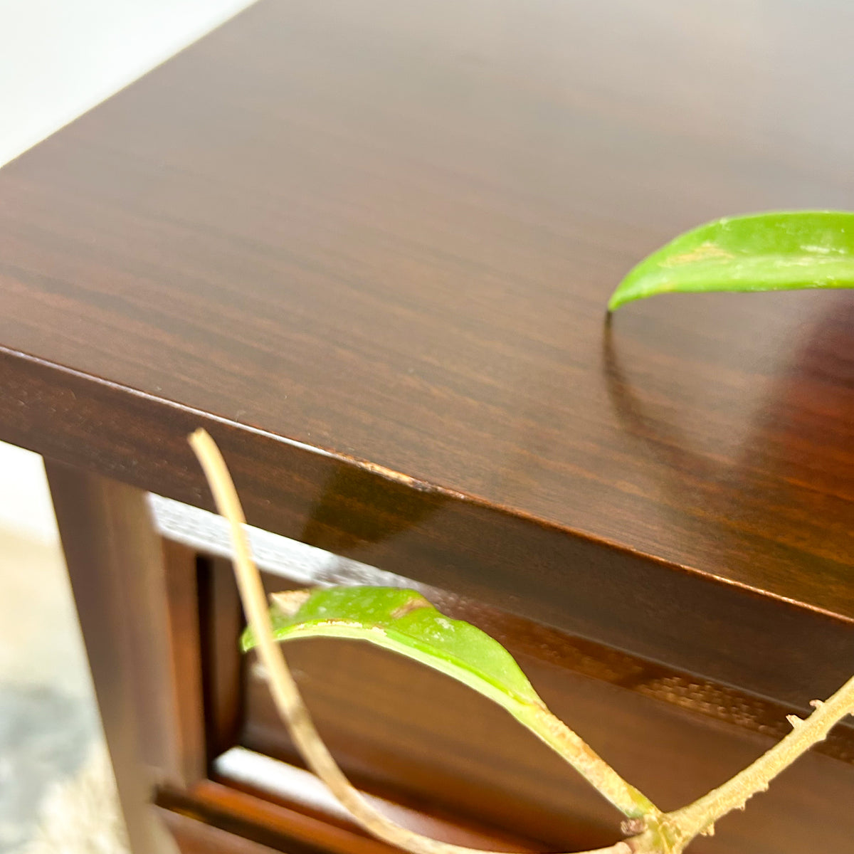 BELVEDERE DRESSER DRAWERS - HEY JUDE WORKSHOP • Vintage furniture & objects Melbourne