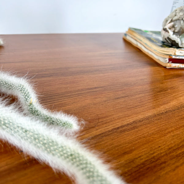 COFFEE TABLE WITH SLATTED MAGAZINE RACK