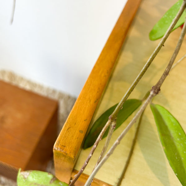 1950s STEREO CABINET