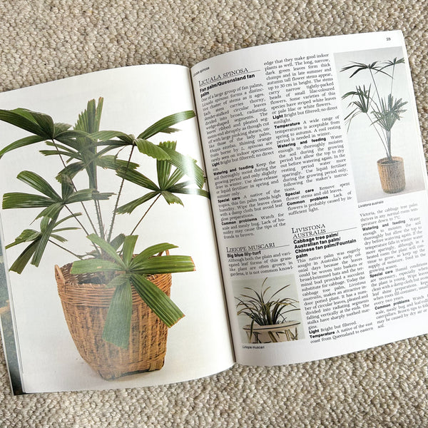 THE EASY GUIDE TO INDOOR PLANTS by SYLVIA WOFFENDEN