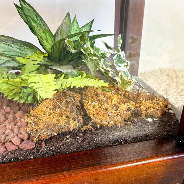 TERRARIUM COFFEE TABLE
