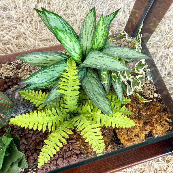 TERRARIUM COFFEE TABLE