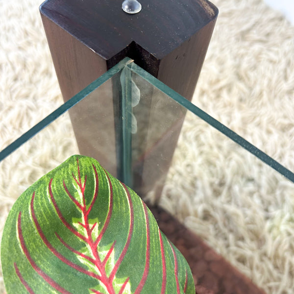 TERRARIUM COFFEE TABLE