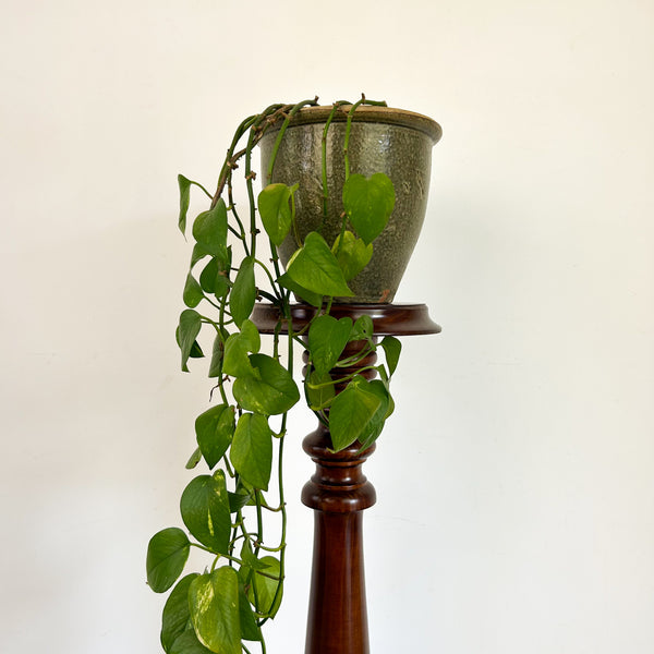 TURNED WOODEN PEDESTAL