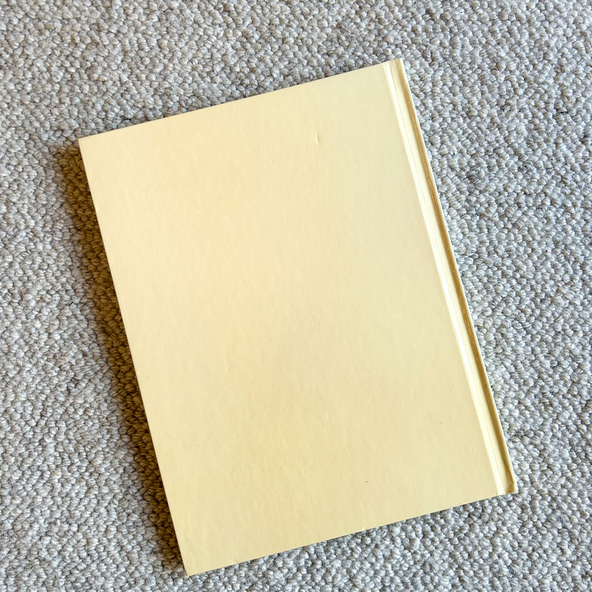 FINISH CARPENTRY TECHNIQUES by GROLIER'S