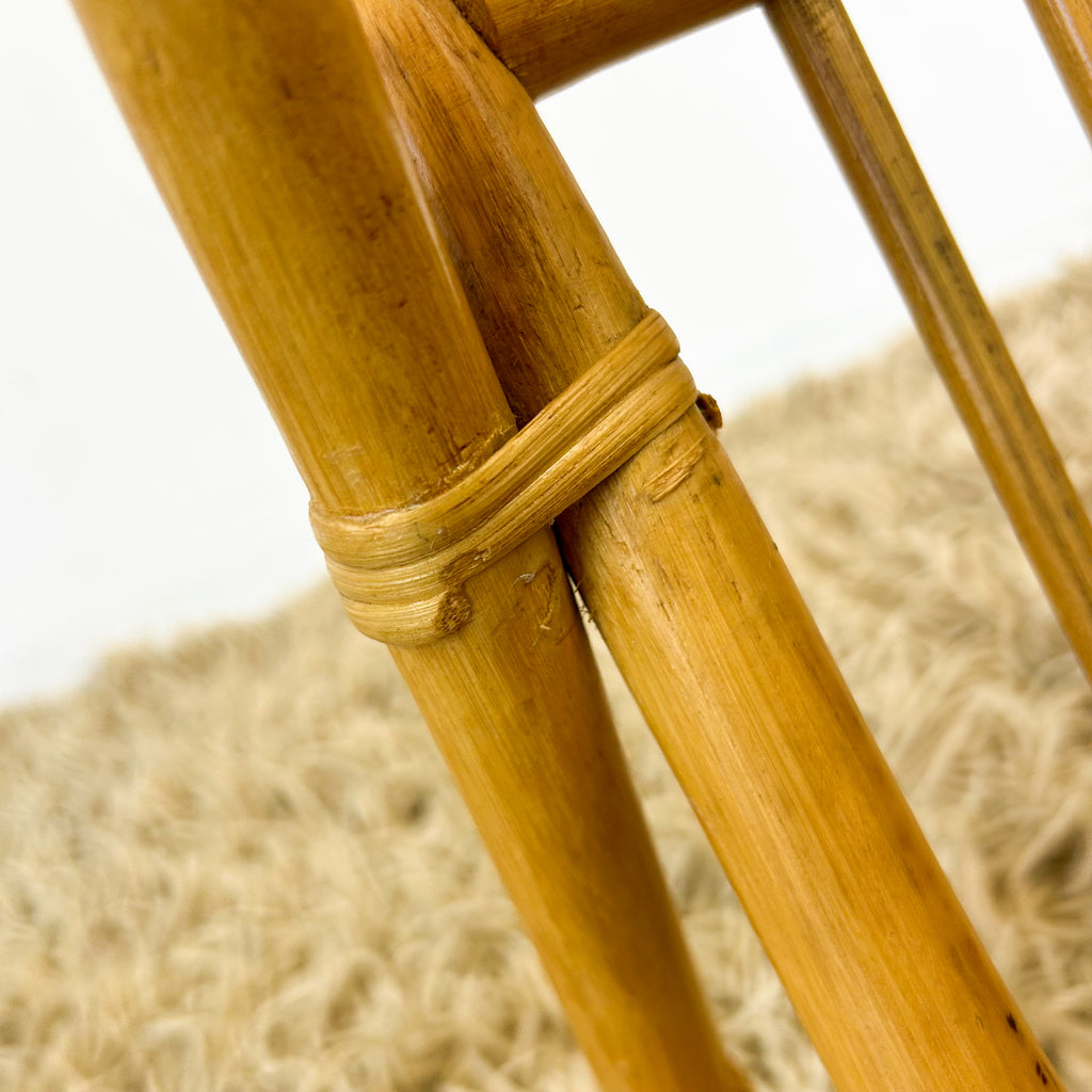 CANE MAGAZINE RACK