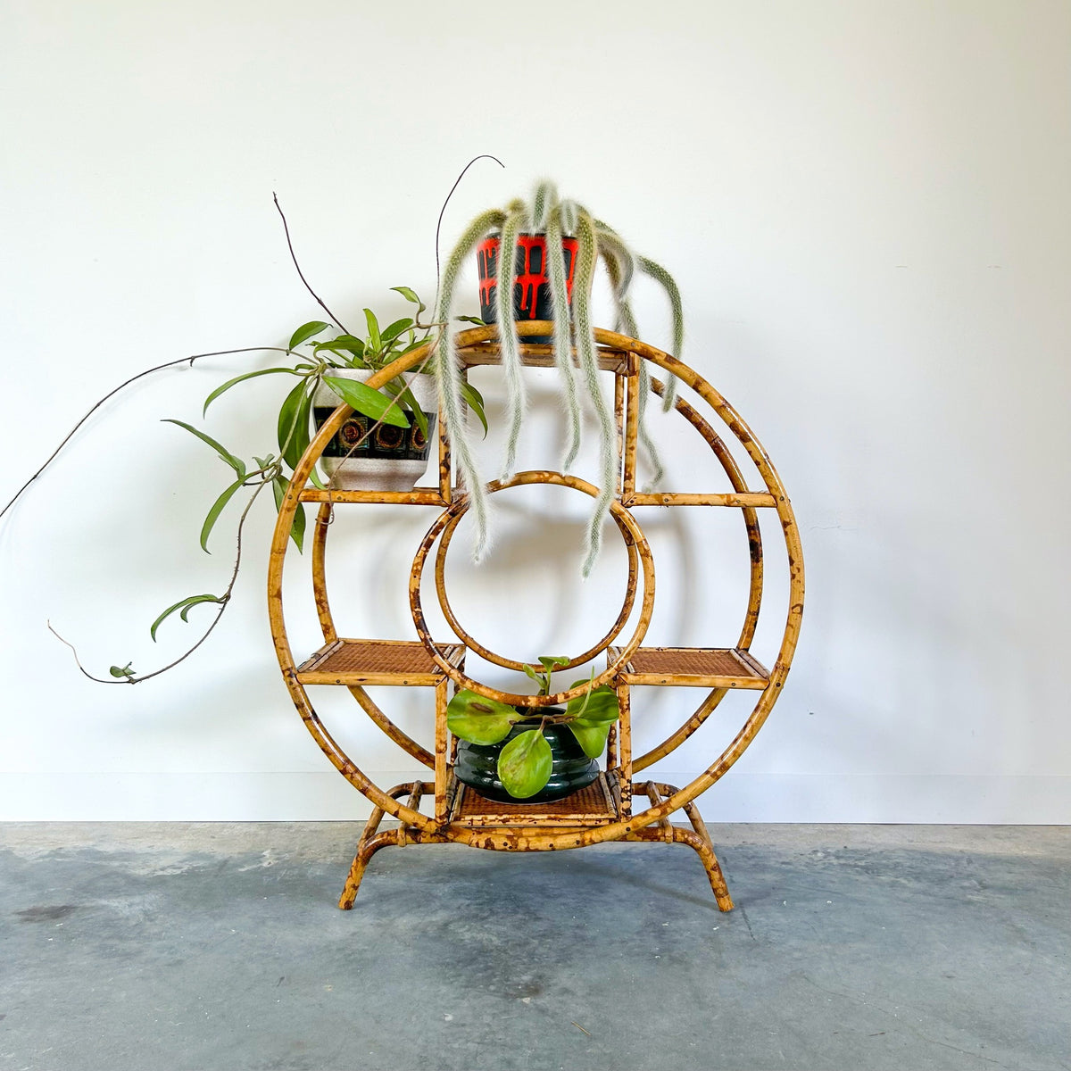TIGER CANE PLANT STAND - HEY JUDE WORKSHOP • Vintage furniture & objects Melbourne
