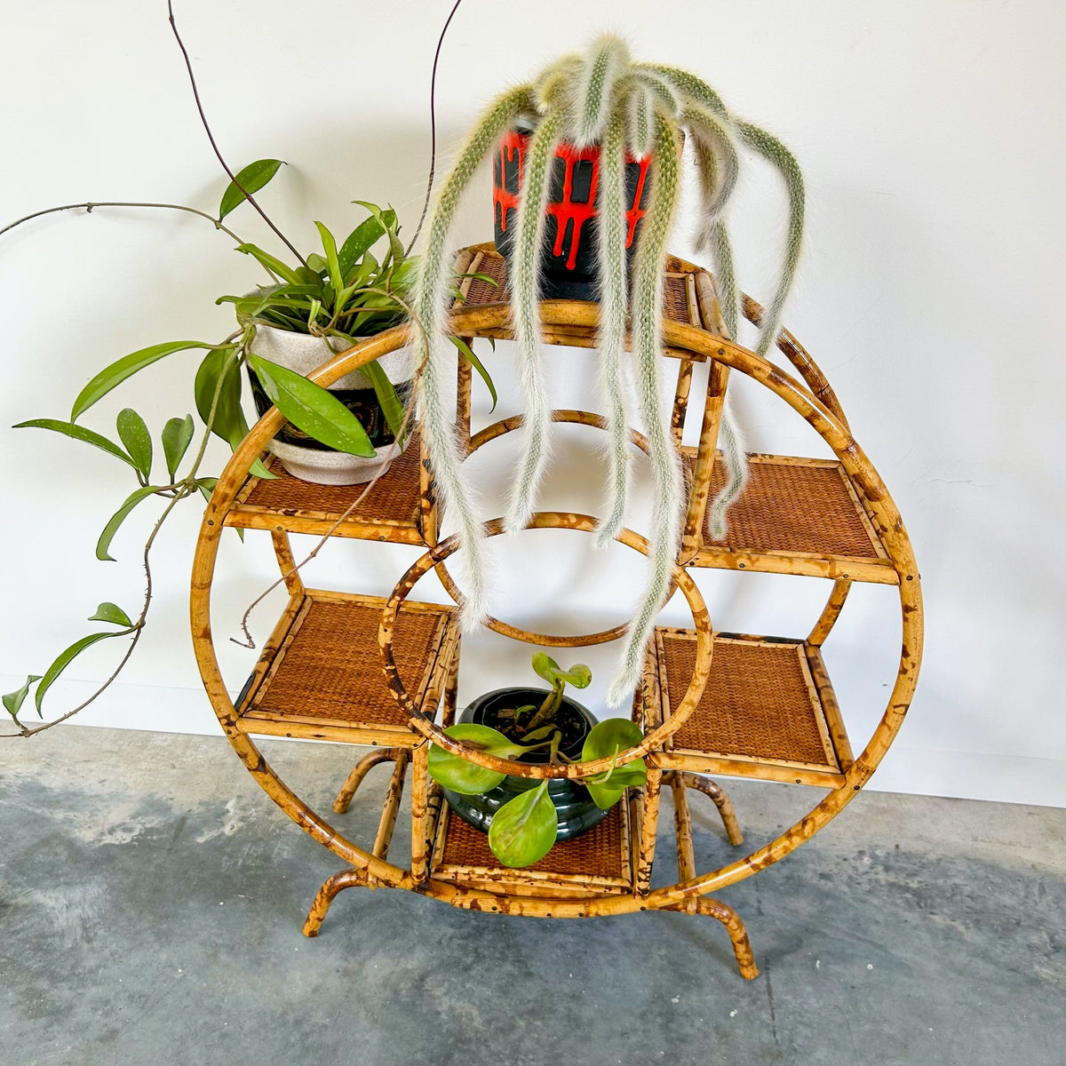 TIGER CANE PLANT STAND - HEY JUDE WORKSHOP • Vintage furniture & objects Melbourne