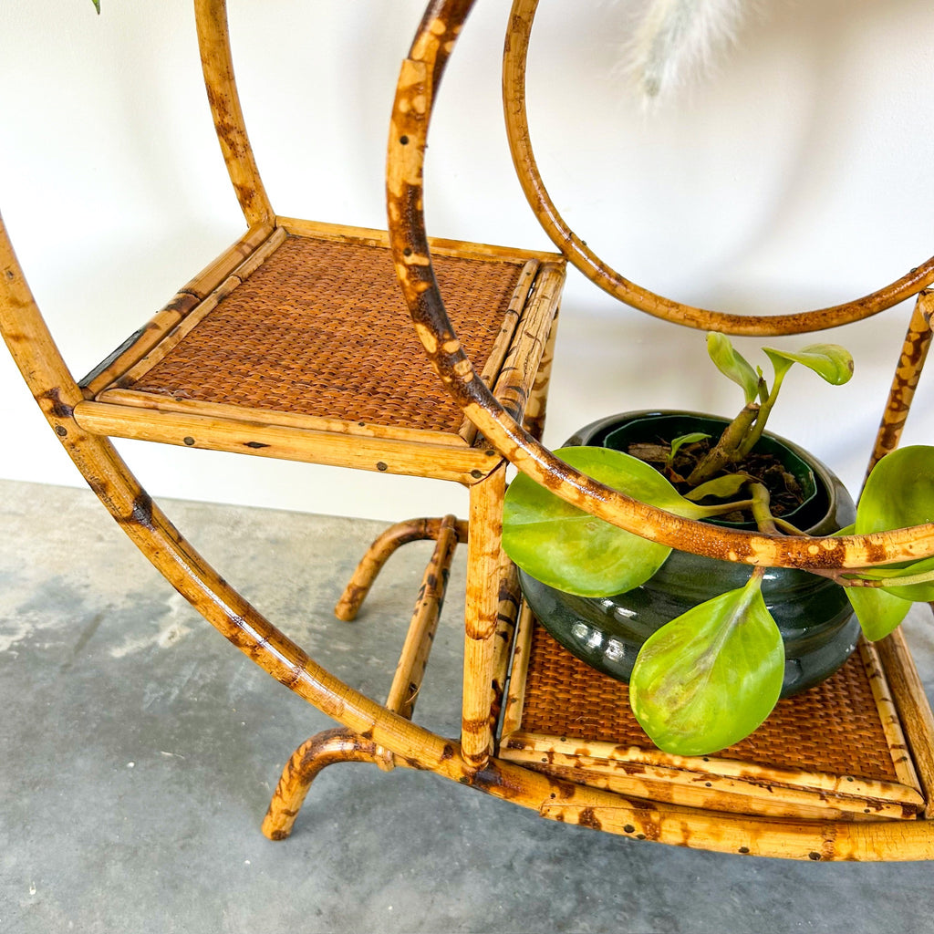 TIGER CANE PLANT STAND - HEY JUDE WORKSHOP • Vintage furniture & objects Melbourne