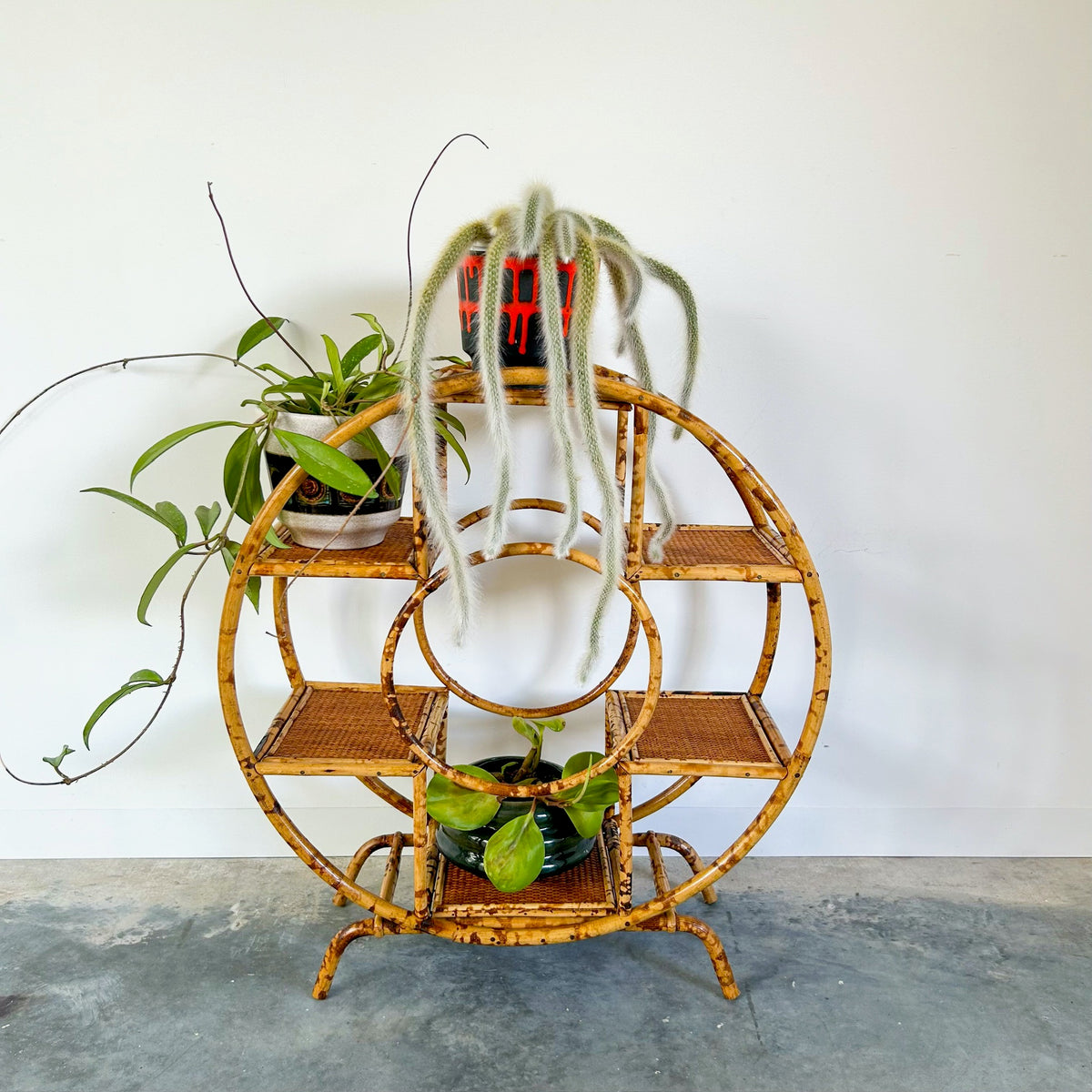 TIGER CANE PLANT STAND - HEY JUDE WORKSHOP • Vintage furniture & objects Melbourne