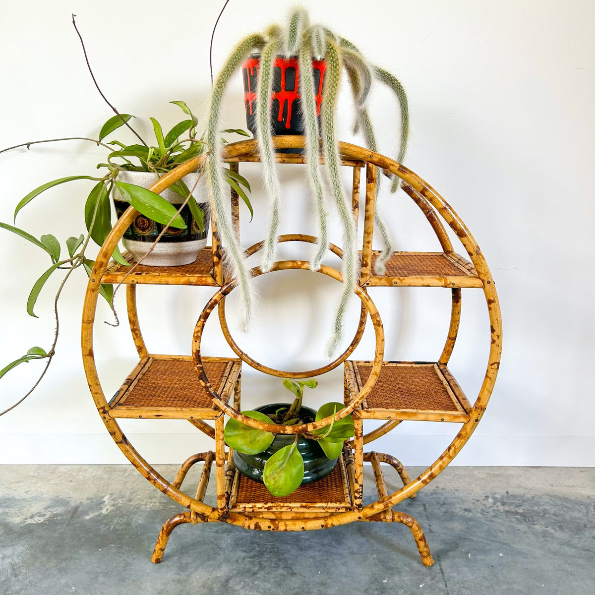 TIGER CANE PLANT STAND - HEY JUDE WORKSHOP • Vintage furniture & objects Melbourne