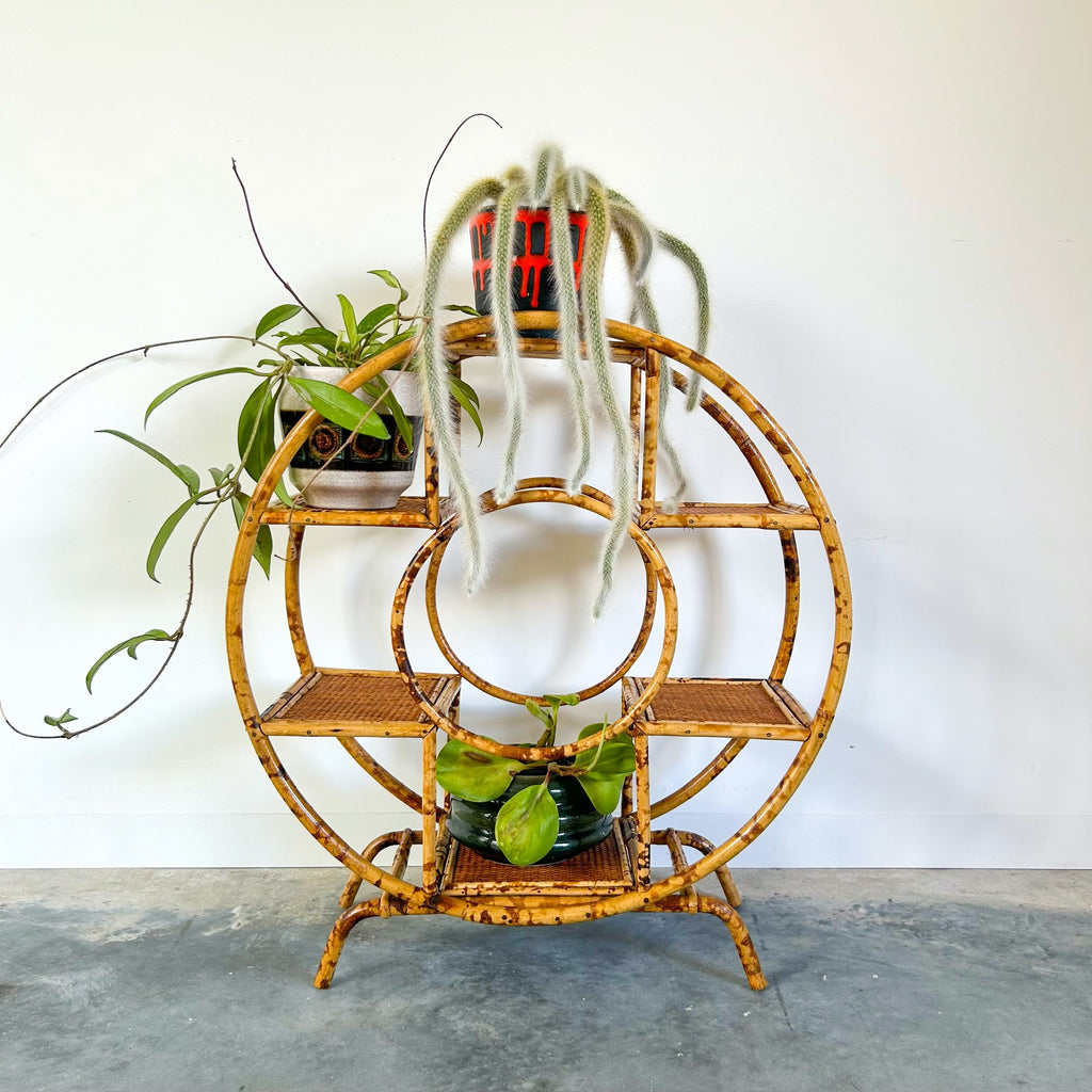 TIGER CANE PLANT STAND - HEY JUDE WORKSHOP • Vintage furniture & objects Melbourne