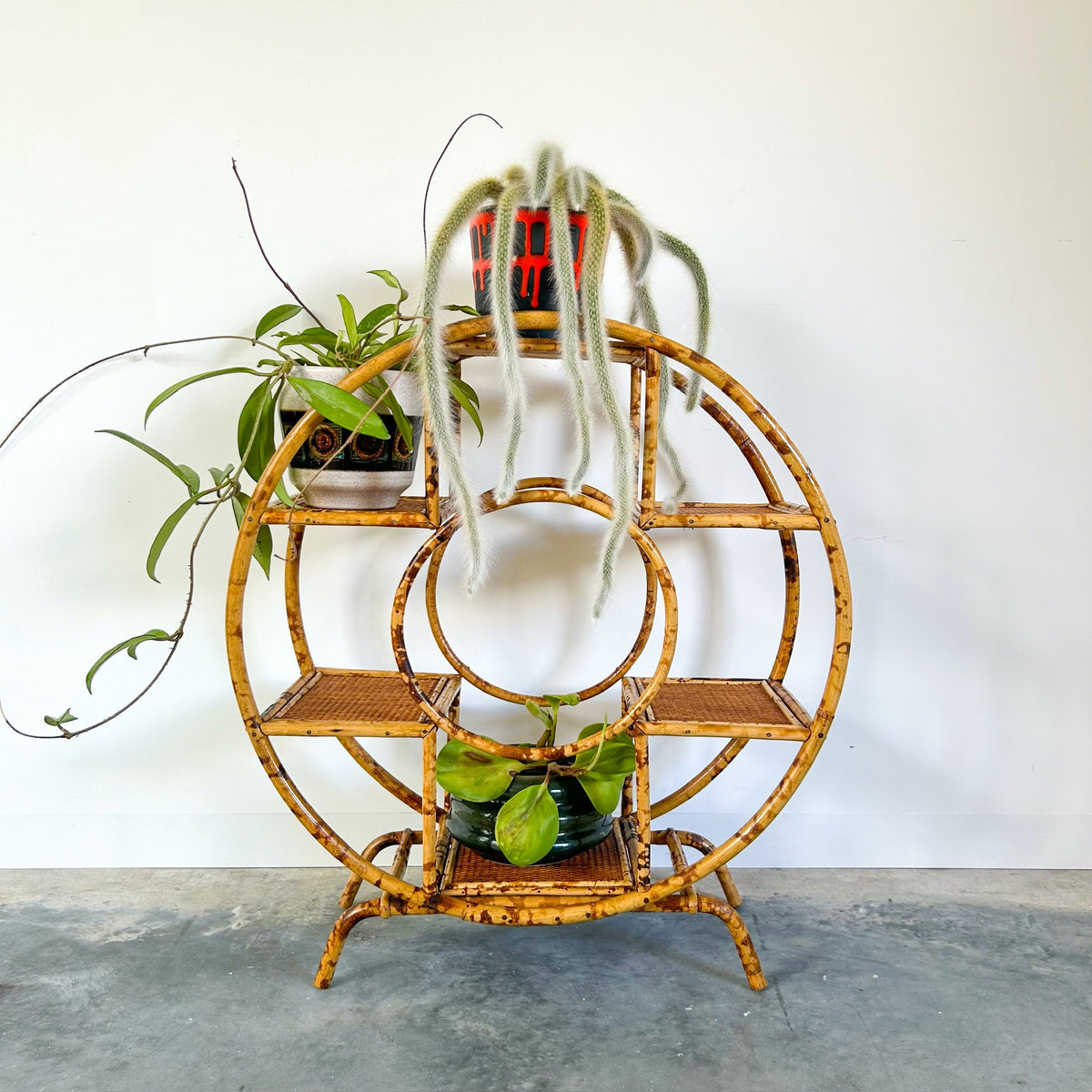 TIGER CANE PLANT STAND - HEY JUDE WORKSHOP • Vintage furniture & objects Melbourne