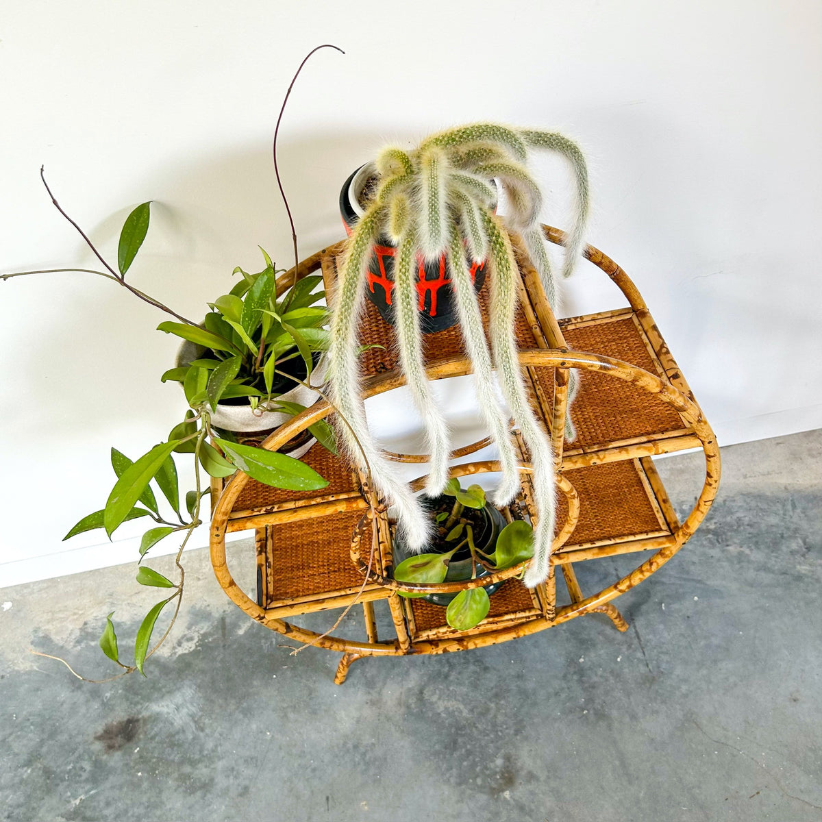 TIGER CANE PLANT STAND - HEY JUDE WORKSHOP • Vintage furniture & objects Melbourne
