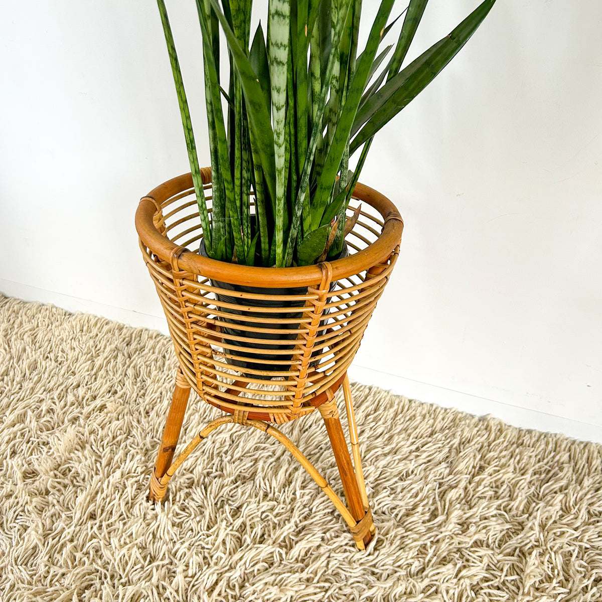LARGE CANE PLANTER - HEY JUDE WORKSHOP • Vintage furniture & objects Melbourne
