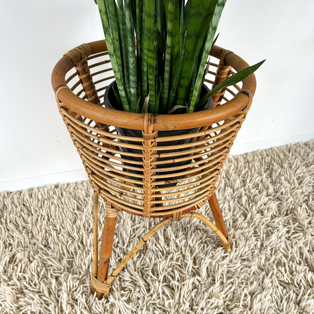 LARGE CANE PLANTER - HEY JUDE WORKSHOP • Vintage furniture & objects Melbourne