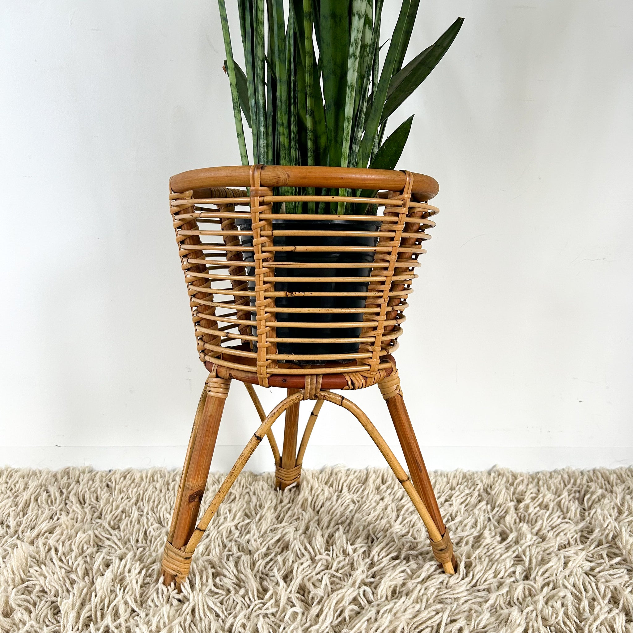 LARGE CANE PLANTER