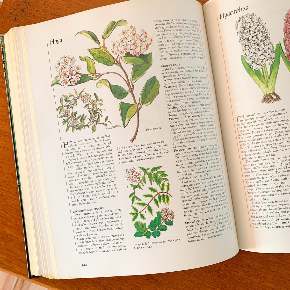 COMPLETE GUIDE TO INDOOR PLANTS by READER'S DIGEST