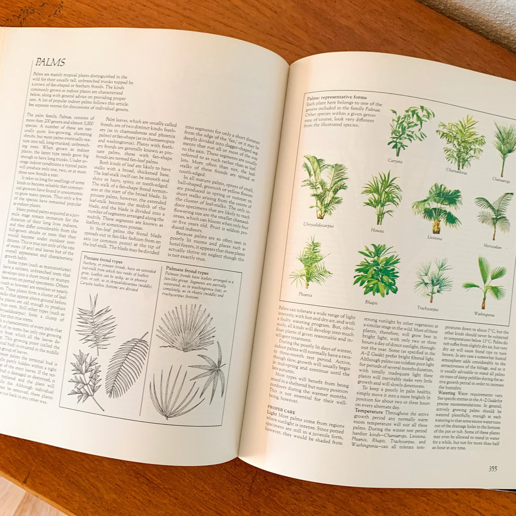 COMPLETE GUIDE TO INDOOR PLANTS by READER'S DIGEST