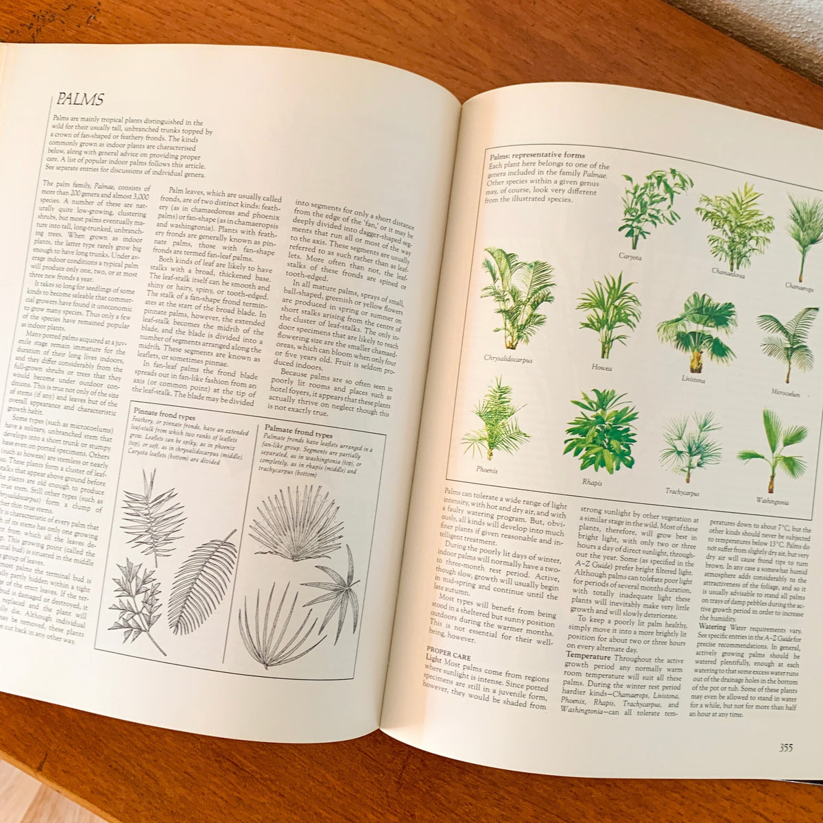 COMPLETE GUIDE TO INDOOR PLANTS by READER'S DIGEST