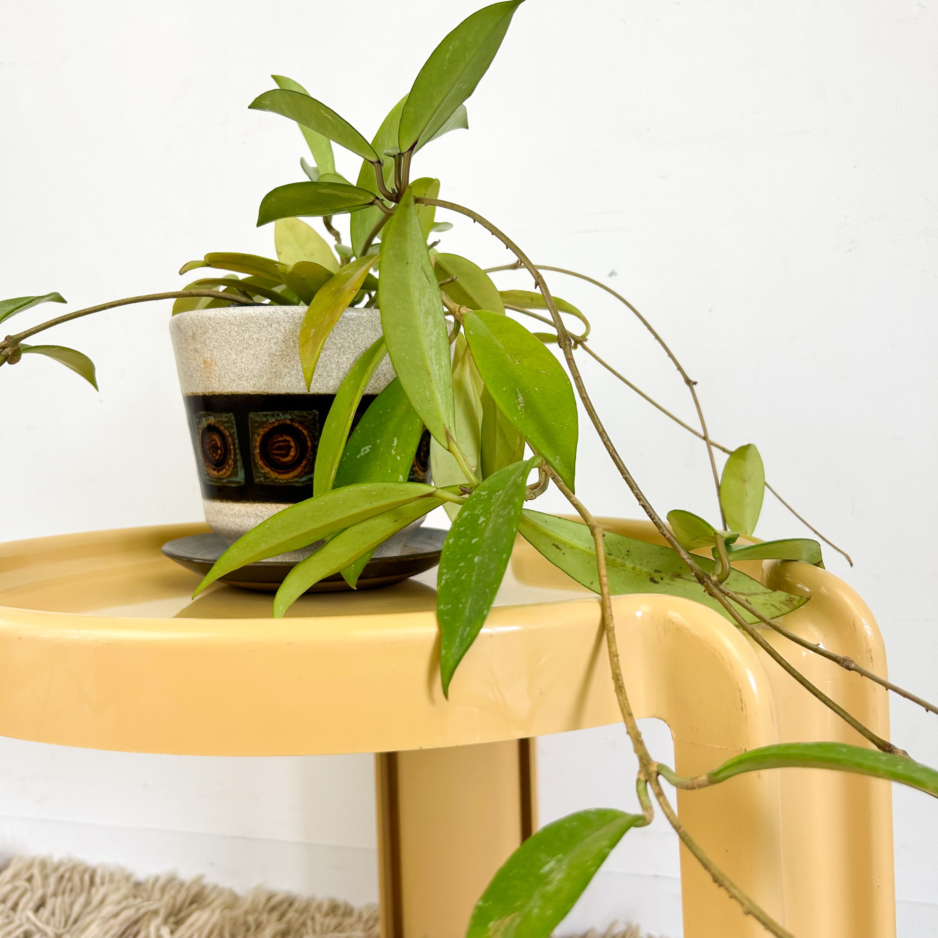 KARTELL SIDE TABLE - HEY JUDE WORKSHOP • Vintage furniture & objects Melbourne