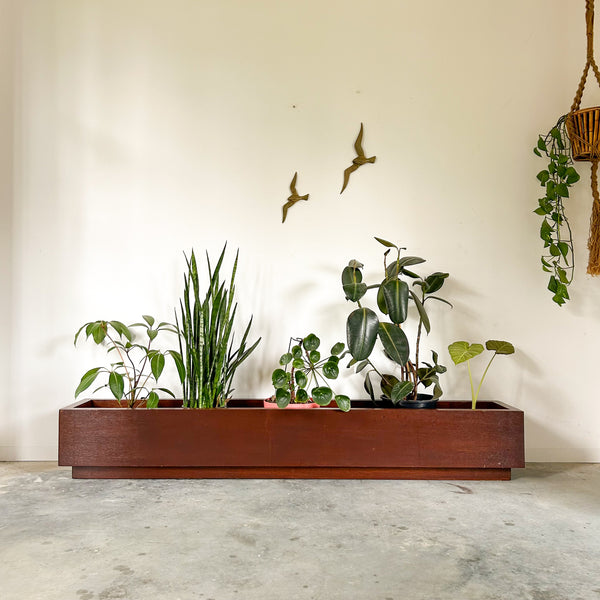 MASSIVE WOODEN PLANTER BOX