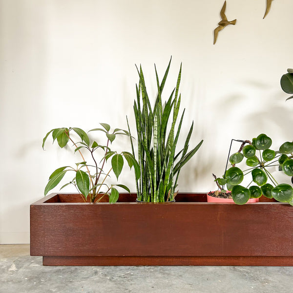 MASSIVE WOODEN PLANTER BOX