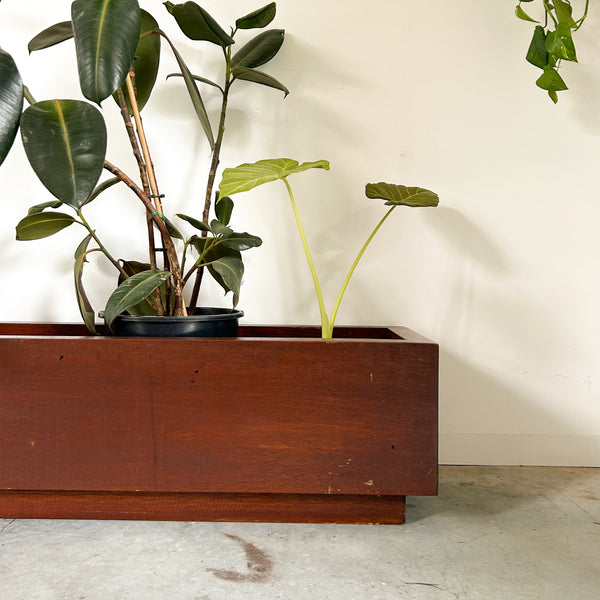 MASSIVE WOODEN PLANTER BOX