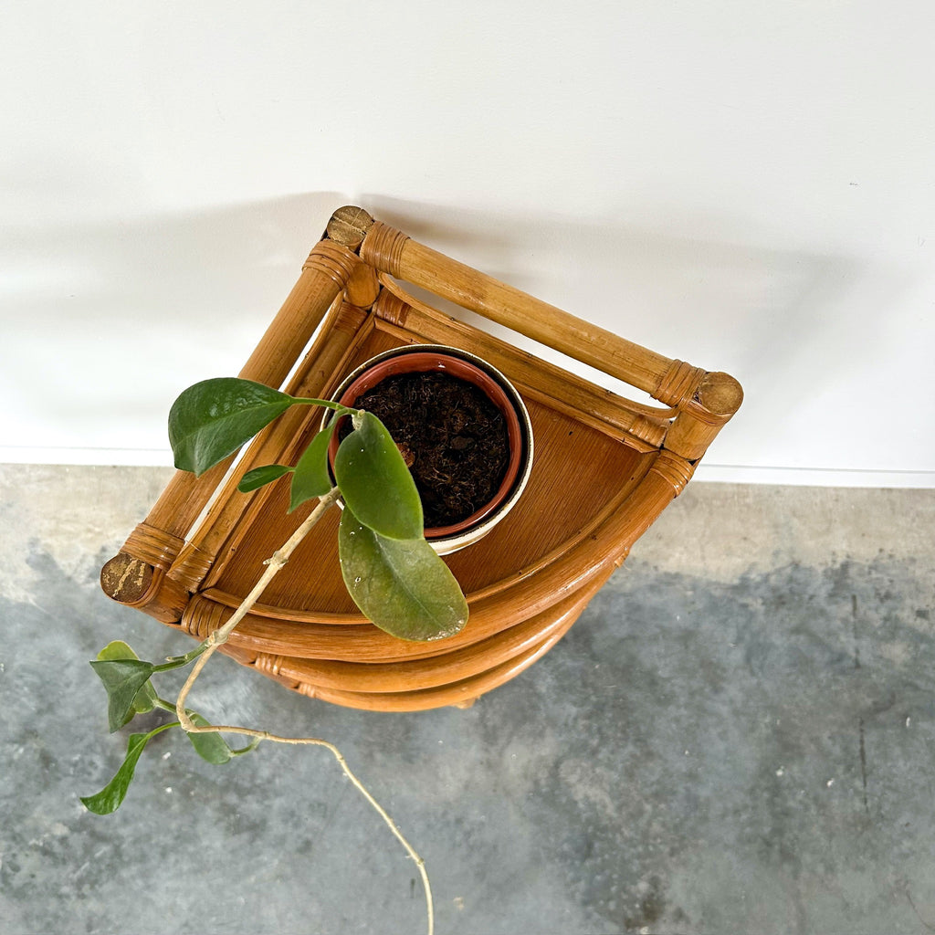 CANE CORNER SHELVES