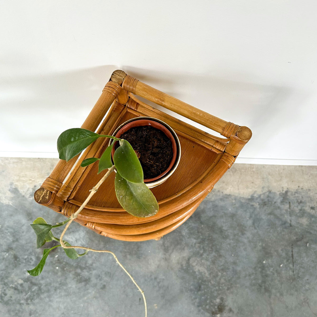 CANE CORNER SHELVES