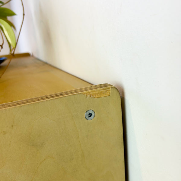 PLYWOOD CUBE STORAGE