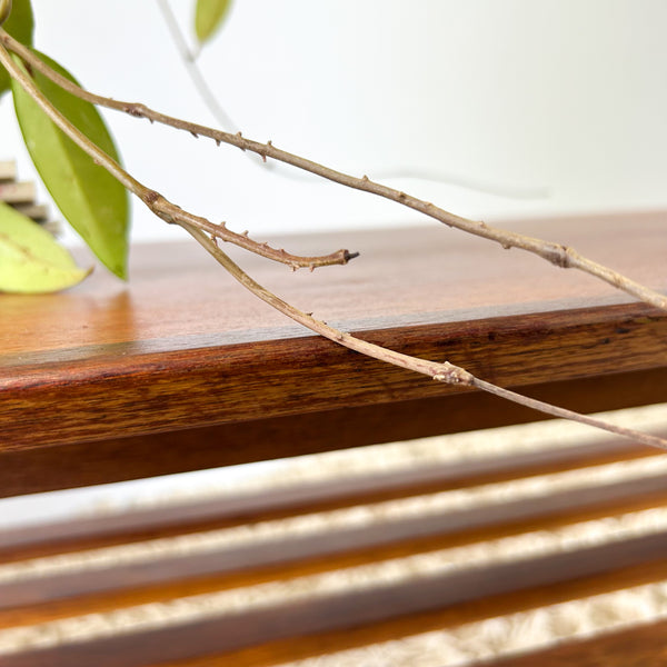 NOBLETT COFFEE TABLE WITH SLATTED MAGAZINE RACK