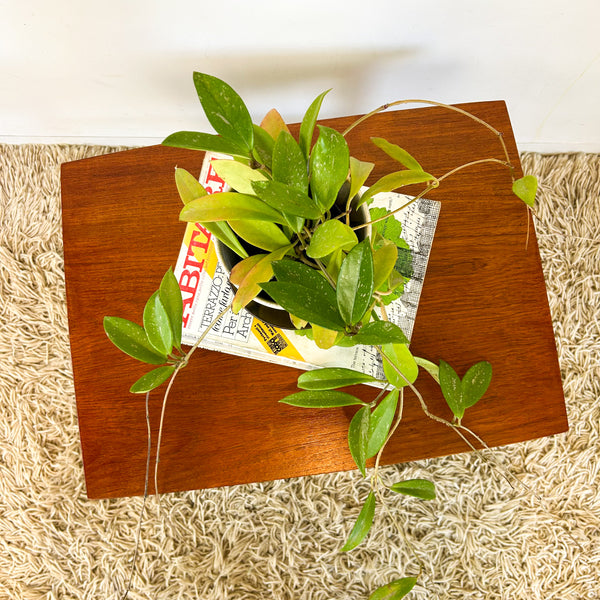 COFFEE TABLE WITH SLATTED MAGAZINE RACK - HEY JUDE WORKSHOP • Vintage furniture & objects Melbourne