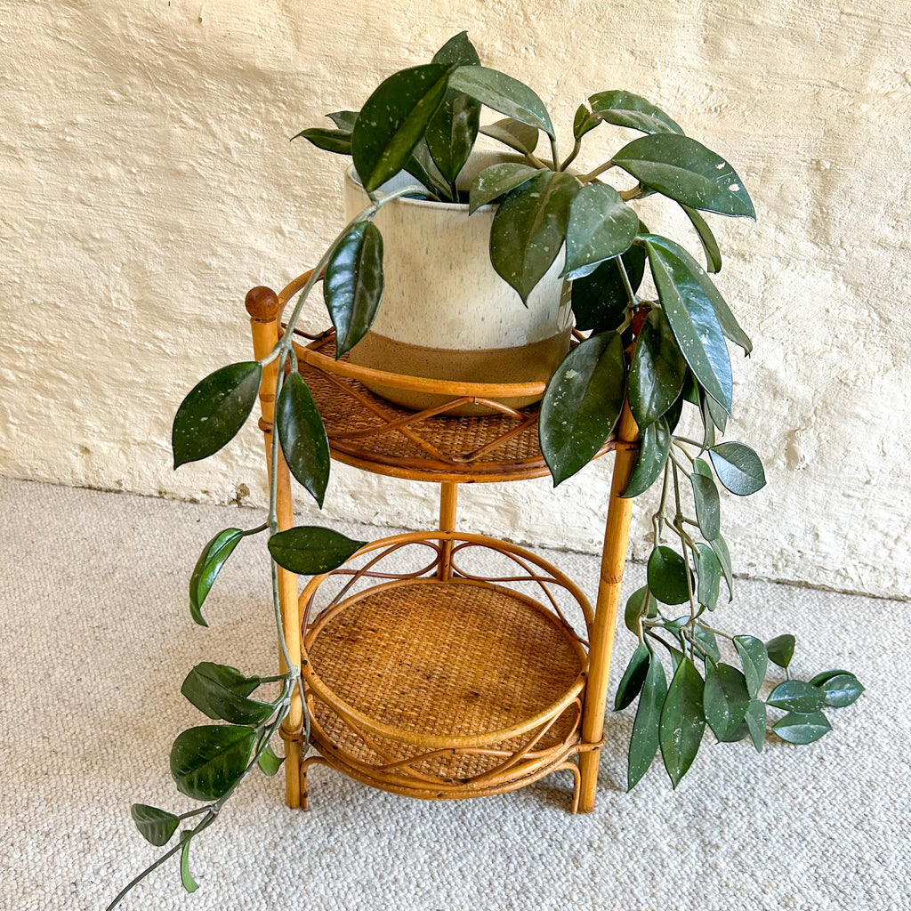 CANE PLANT STAND - HEY JUDE WORKSHOP • Vintage furniture & objects Melbourne