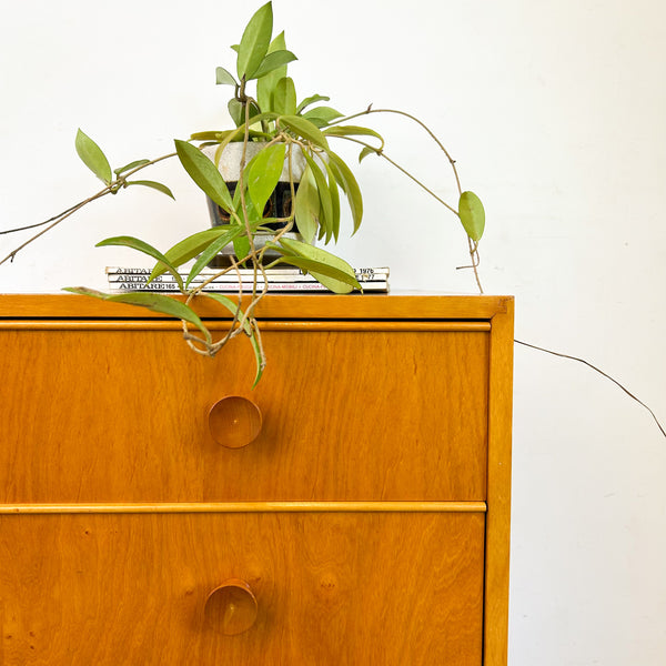 BEDSIDE DRAWERS (SINGLE) - HEY JUDE WORKSHOP • Vintage furniture & objects Melbourne