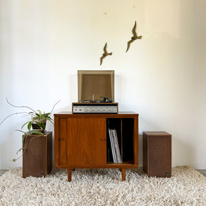 RECORD CABINET