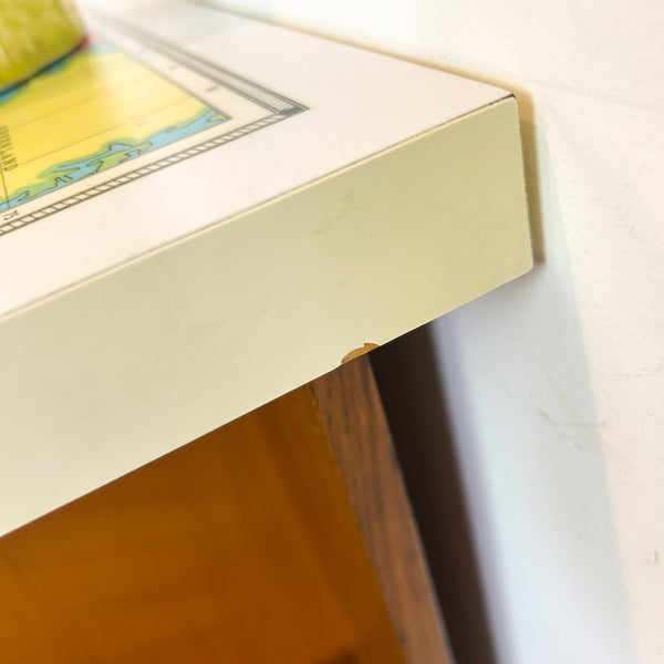 WORLD MAP DESK
