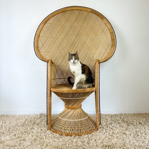 CANE PEACOCK CHAIR