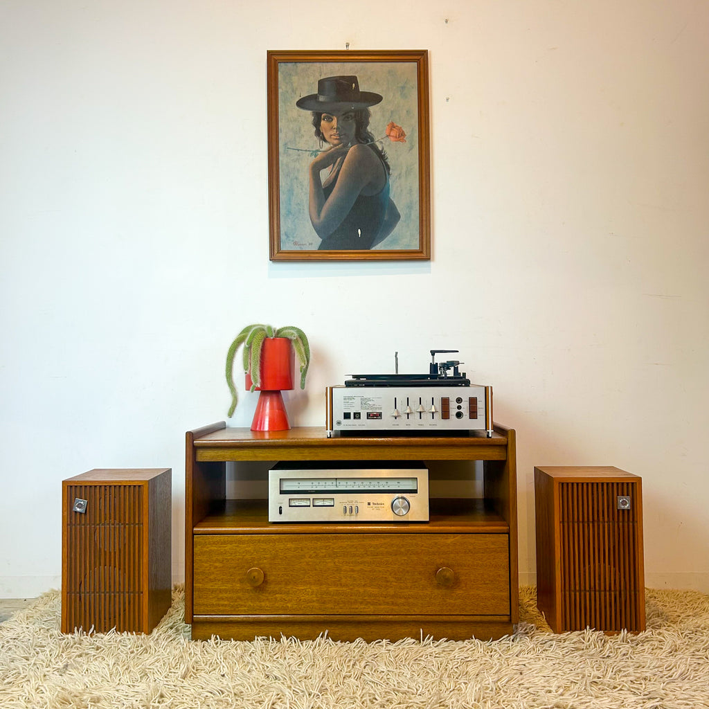 STEREO CABINET / TV UNIT - HEY JUDE WORKSHOP • Vintage furniture & objects Melbourne