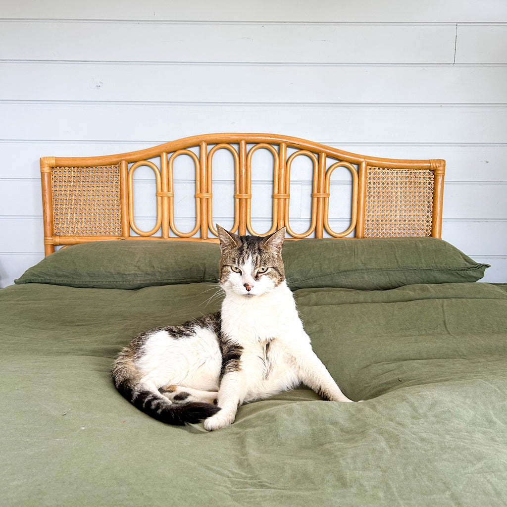 CANE HEADBOARD