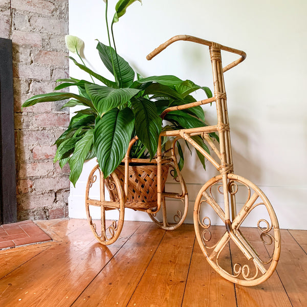 RATTAN TRICYCLE PLANTER