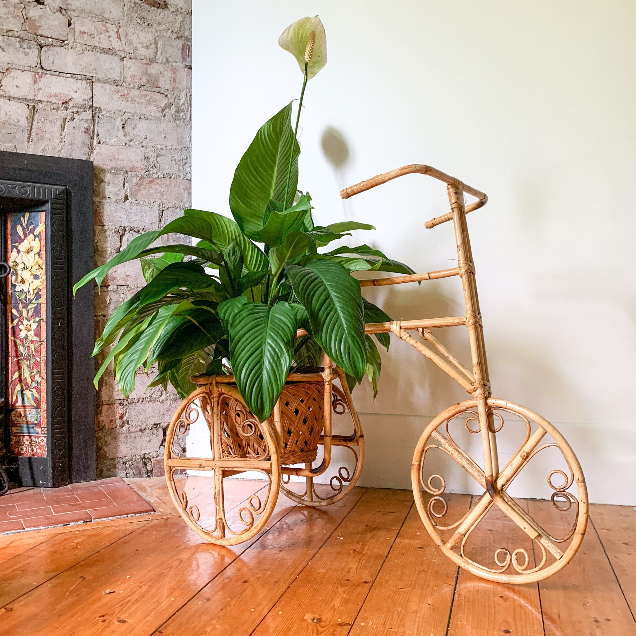 RATTAN TRICYCLE PLANTER